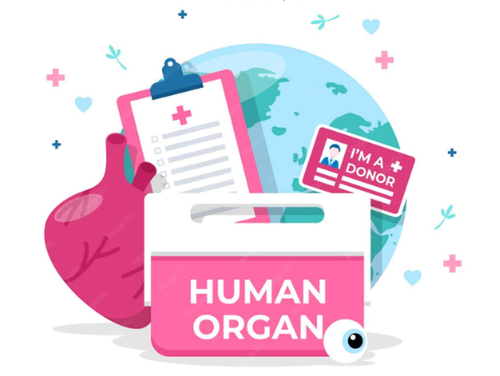 Image of Organ and Tissue Donation: Clinical and Ethical Essentials for New Jersey Clinicians