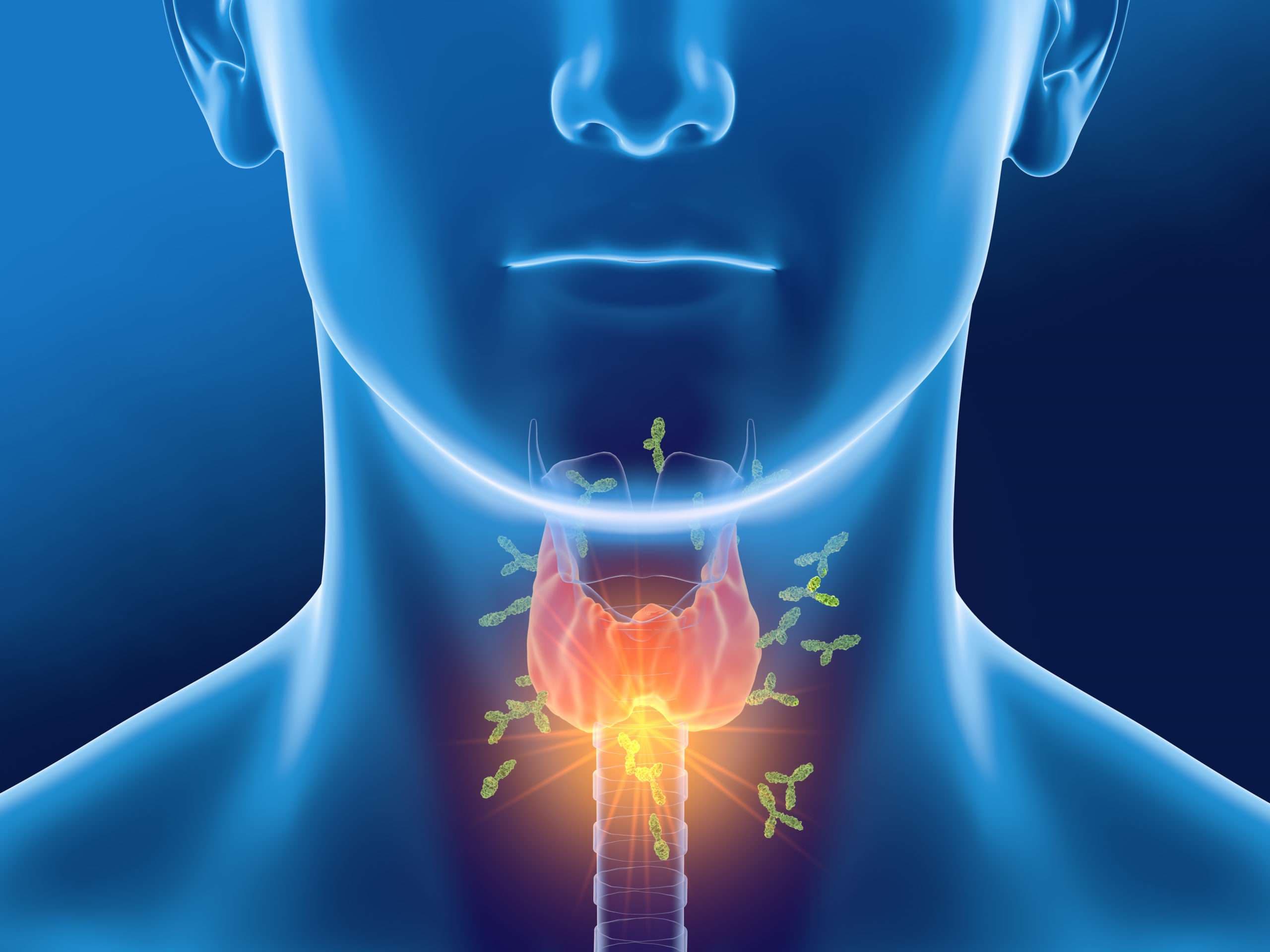 Hormone Medications And Endocrine Health Latest Updates