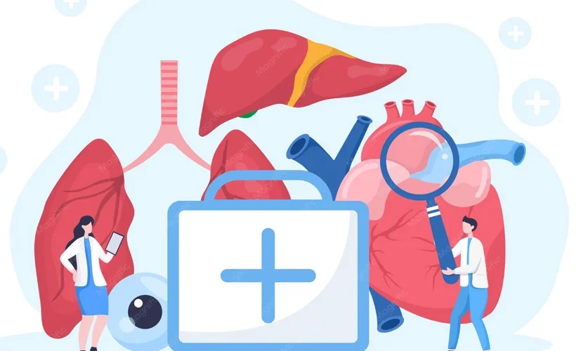 Image of Organ and Tissue Donation for Pennsylvania Medical Doctors: System, Process, and Clinical Care