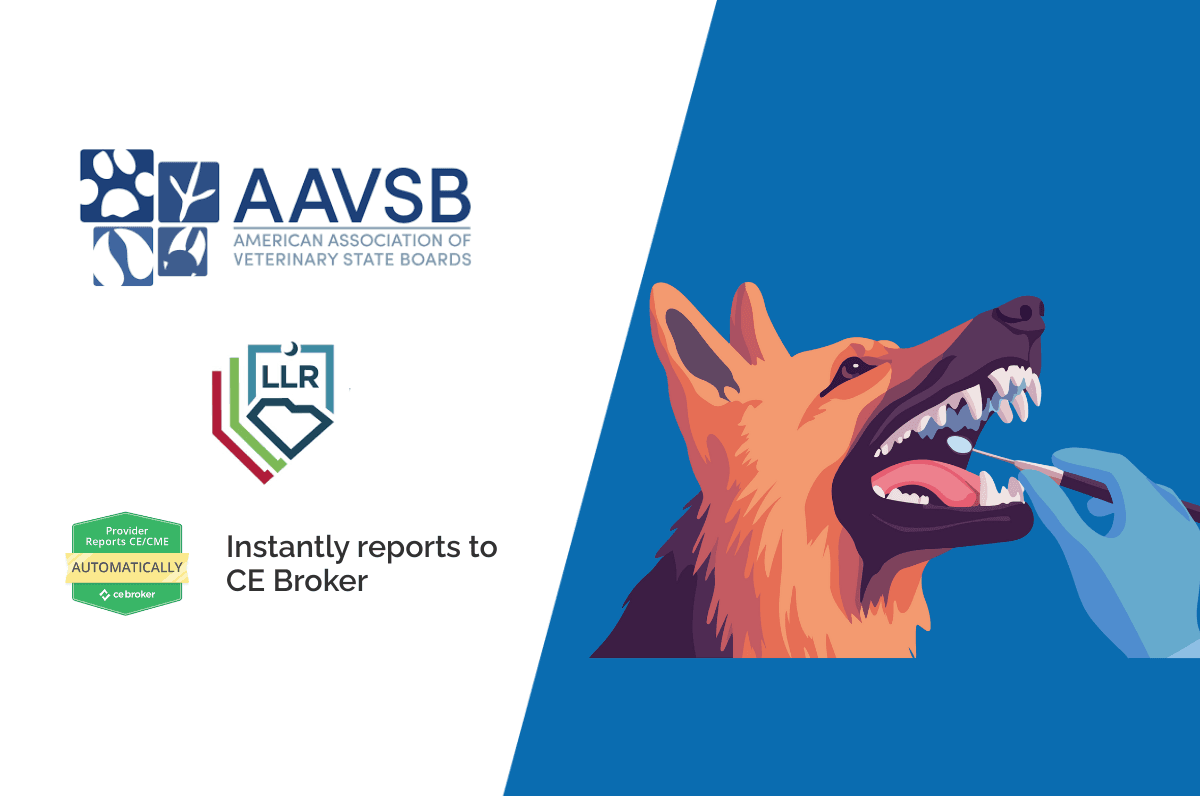 Canine Dental Anatomy and Pathology
