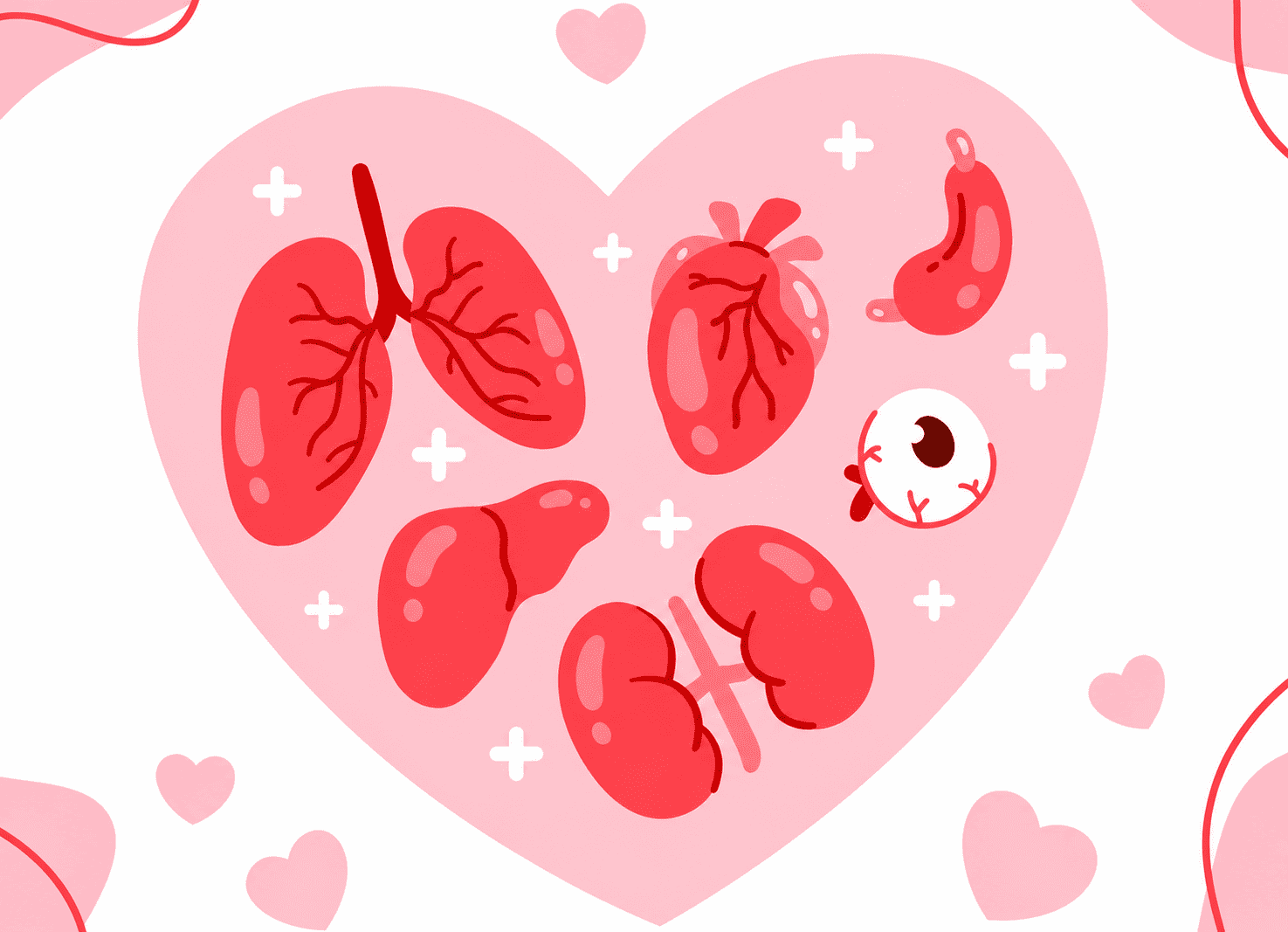 Image of Organ and Tissue Donation for Pennsylvania Nurses: System, Process, and Clinical Care